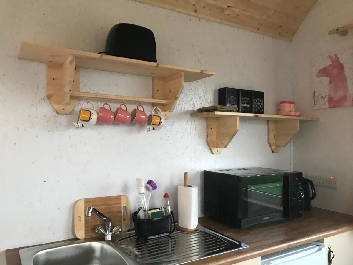 Casa vacanze The Beautiful Lazy Llama Shepherd Hut Farm Ballyshannon